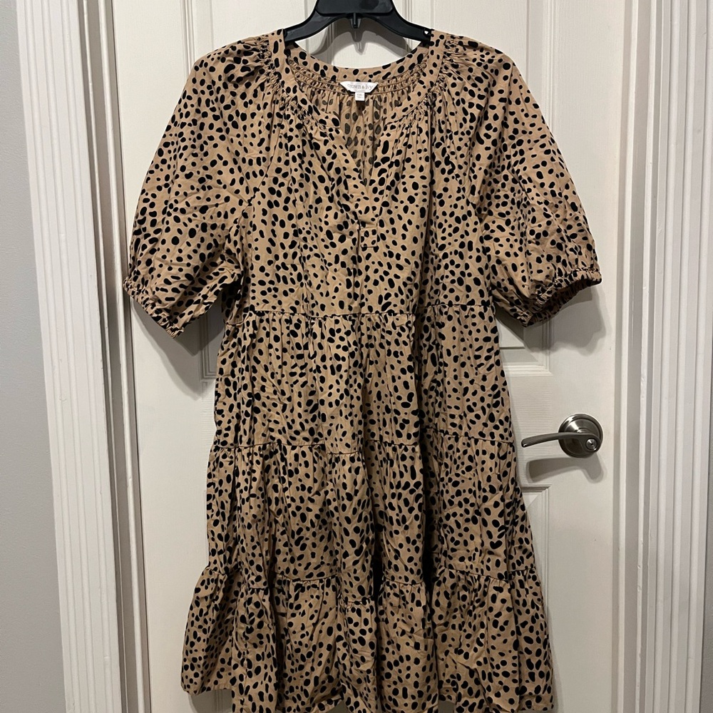 crown & ivy Beige Mini Dress with Black Spot Print